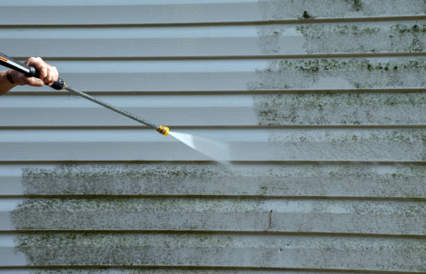 Best Attic Mold Removal  in North Fair Oaks, CA