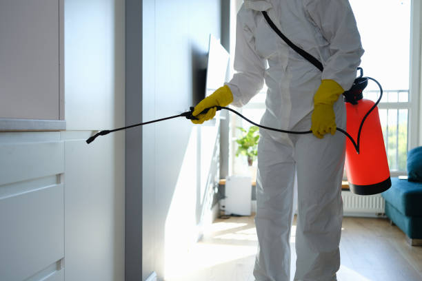 Best Best Mold Removal Companies  in North Fair Oaks, CA