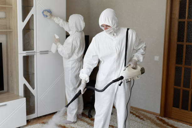 Best Mold Cleaning Services  in North Fair Oaks, CA