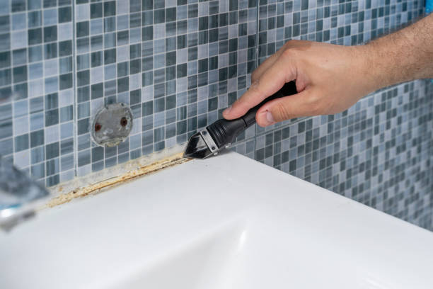  North Fair Oaks, CA Mold Removal Pros