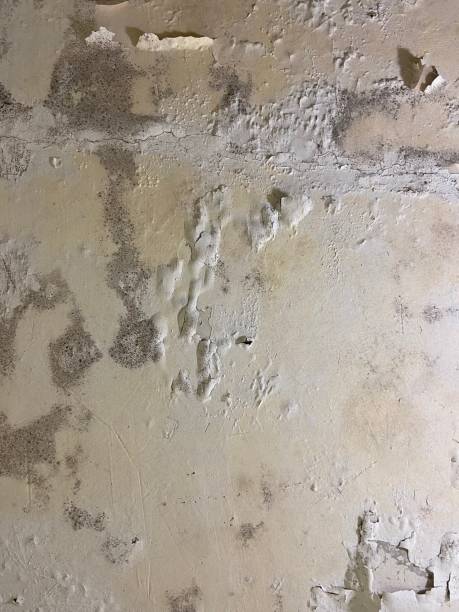 Water Damage Restoration in North Fair Oaks, CA