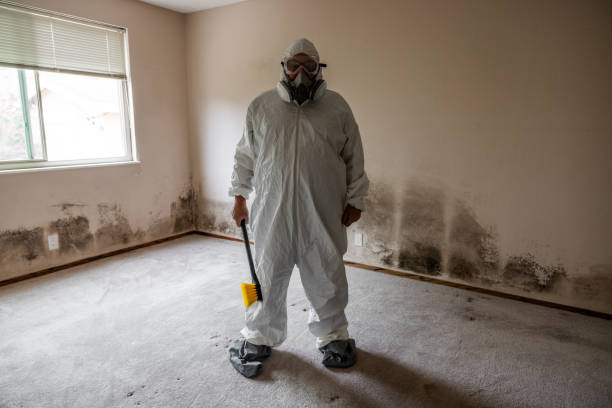 Best Certified Mold Removal  in North Fair Oaks, CA